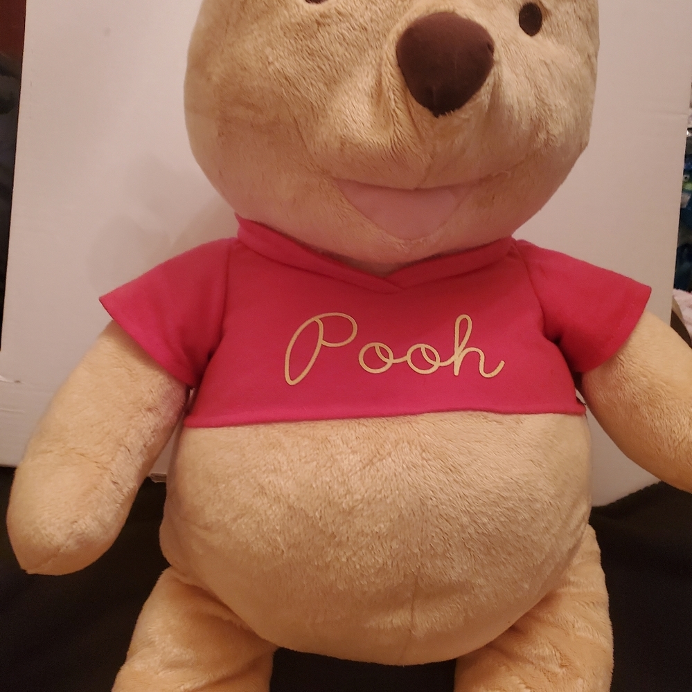 Winnie the pooh 🐻